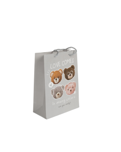 Gift Bag Cardboard