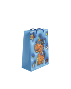 Gift Bag Cardboard