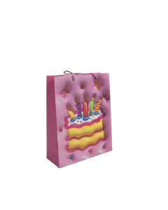 Gift Bag Cardboard