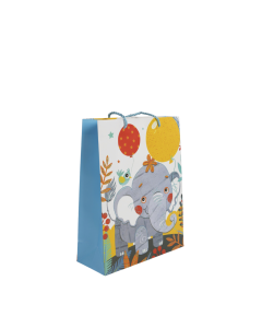 Gift Bag Cardboard