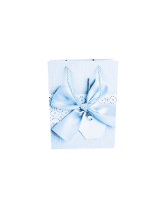 Cardboard Gift Bag