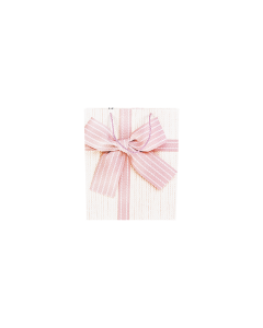 Cardboard Gift Bag