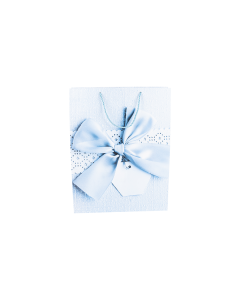 Cardboard Gift Bag