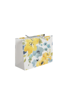 Gift Bag Cardboard