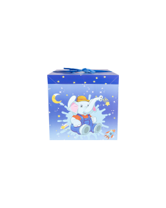 Cardboard Gift Bag