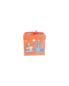 Cardboard Gift Bag