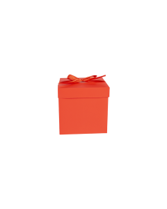 Cardboard Gift Bag