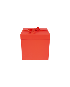 Cardboard Gift Bag