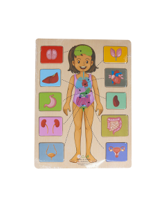 Body Parts Wooden Puzzle
