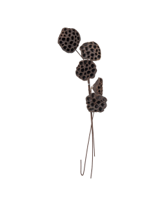 Black Dried Plants