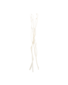 Stem Dried Plants