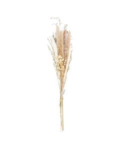 Spring Dried Plants