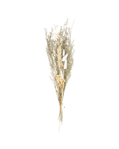 Spring Dried Plants