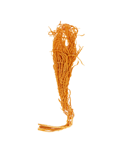 Amaranthus Dried Plants