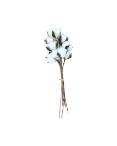Dried Flower