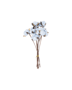 Dried Flower