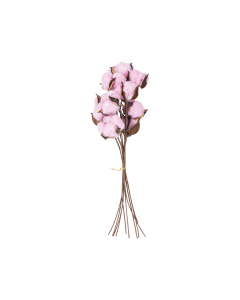 Dried Flower