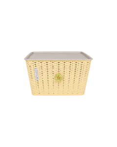 Tiggy Storage Box