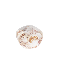 Sea Shells Crafts