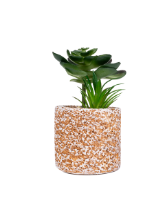Artificial Plant