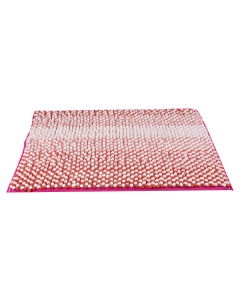 Door/Floor Mat