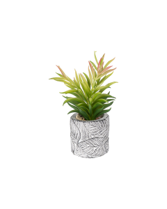 Artificial Bonsai