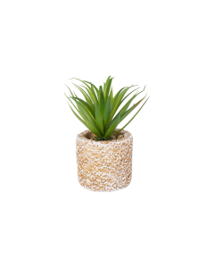 Artificial Bonsai