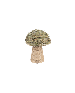 Jiang Wood Craft Ornament