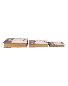 Zea 3pcs Book Box Leather