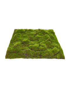 Yeor Articial Turf Green Plastic