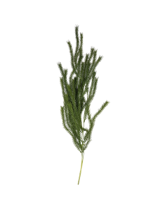 Yeor Artificial Flower Green Plastic