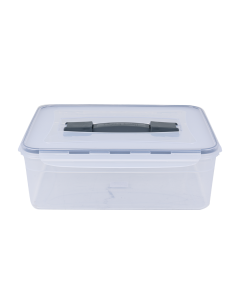 Plast Fresh Box With Handle