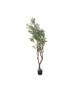 Alexia Glass Vase