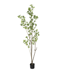 Dracaena Artificial Trees