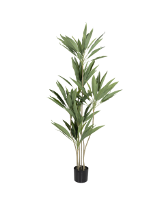 Dracaena Artificial Trees