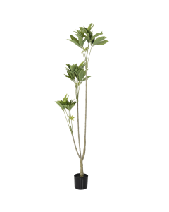 Guiana Artificial Trees