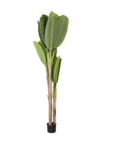 Traveler's Palm Artificial Trees
