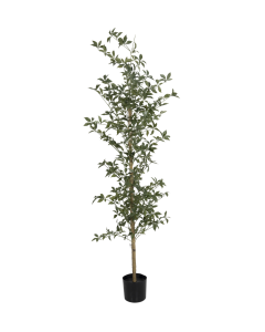 Black Olive Artificial Trees