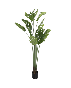 Monstera Deliciosa Artificial Trees