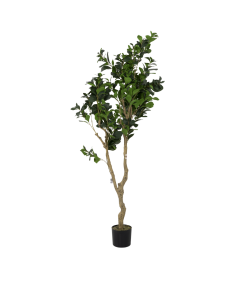Pieris Japonica Artificial Trees