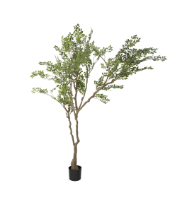 Elm Artificial Trees