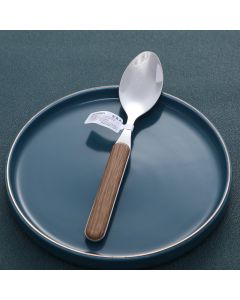 Wood Grain Series Tea Spoon
