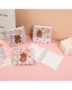 Mccoy Family Coil Book - Horizontal Page 80pcs