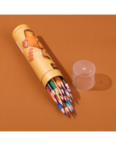 Teddy Island Series Erasable Colored Pencil-24pcs