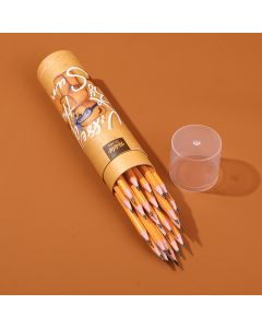 Teddy Island Series Erasable Pencil-24pcs