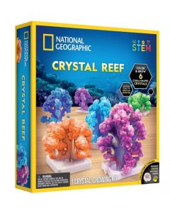 National Geographic Crystal Reef Coral Growinational Geograp